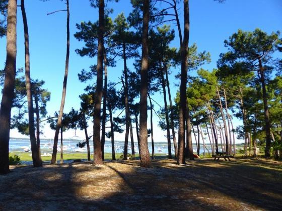 Willa Maison Oceane Proche Plage Ares Zewnętrze zdjęcie